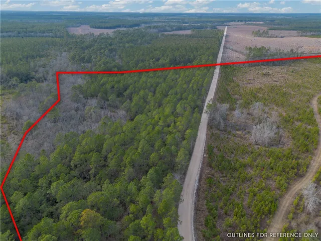 $987,850 | 3 Reddish Road, Screven, GA 31560