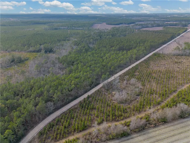 $987,850 | 3 Reddish Road, Screven, GA 31560