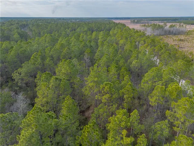 $987,850 | 3 Reddish Road, Screven, GA 31560