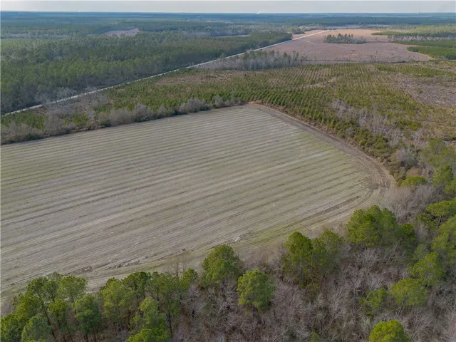 $987,850 | 3 Reddish Road, Screven, GA 31560