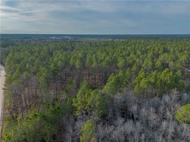 $987,850 | 3 Reddish Road, Screven, GA 31560