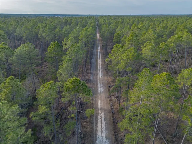 $987,850 | 3 Reddish Road, Screven, GA 31560