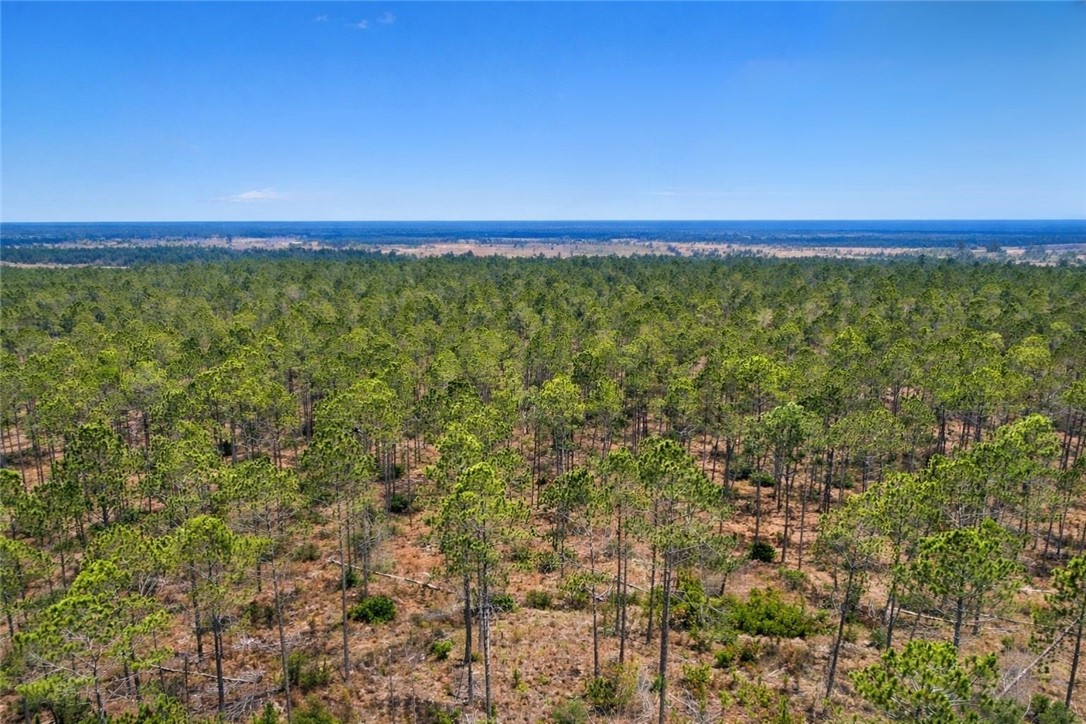 3 Reddish Road Screven, GA 31560 - Photo 3 of 9