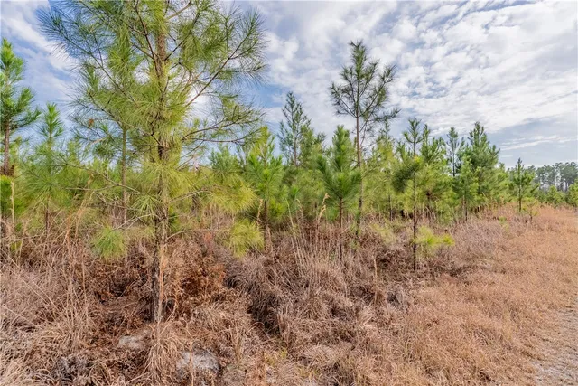 $987,850 | 3 Reddish Road, Screven, GA 31560