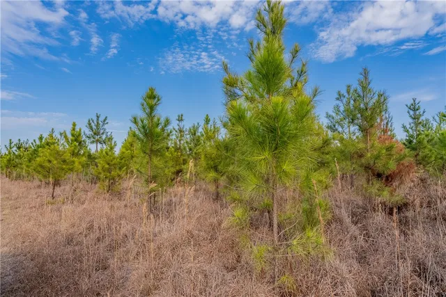 $987,850 | 3 Reddish Road, Screven, GA 31560