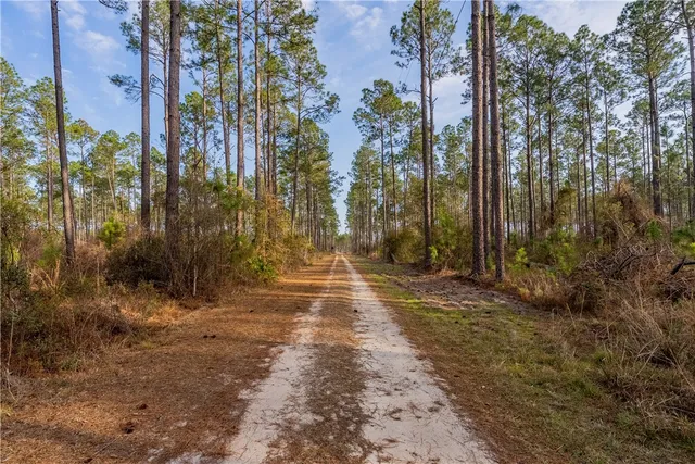 $987,850 | 3 Reddish Road, Screven, GA 31560