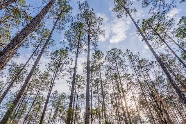 $987,850 | 3 Reddish Road, Screven, GA 31560