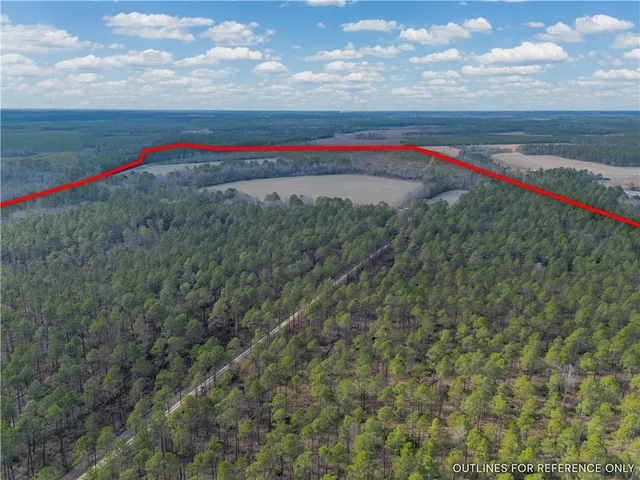 $987,850 | 3 Reddish Road, Screven, GA 31560