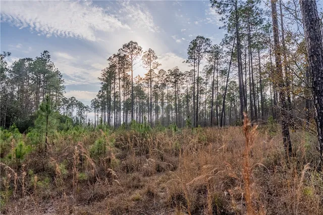 $987,850 | 3 Reddish Road, Screven, GA 31560