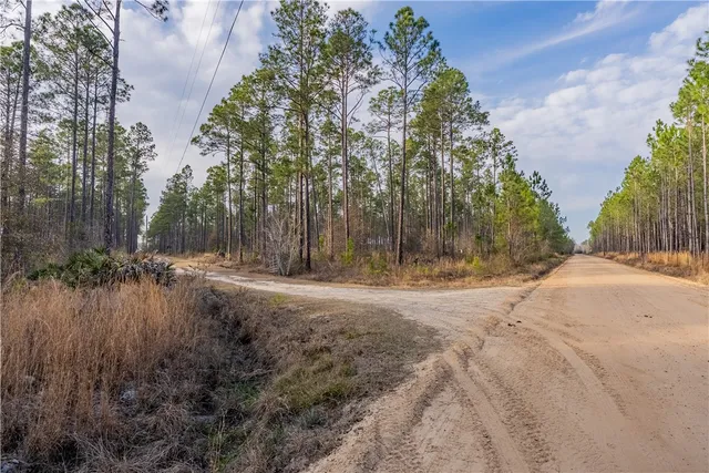 $987,850 | 3 Reddish Road, Screven, GA 31560