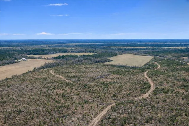 $987,850 | 3 Reddish Road, Screven, GA 31560