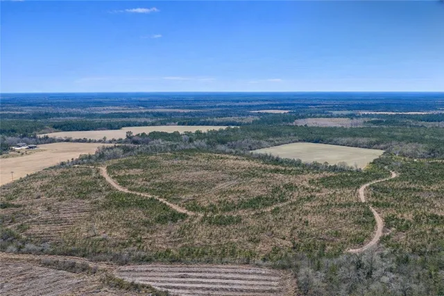 $987,850 | 3 Reddish Road, Screven, GA 31560