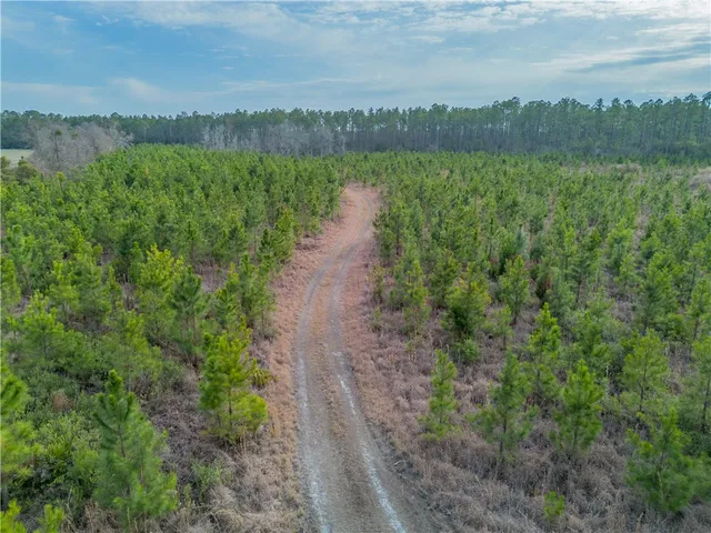 $987,850 | 3 Reddish Road, Screven, GA 31560