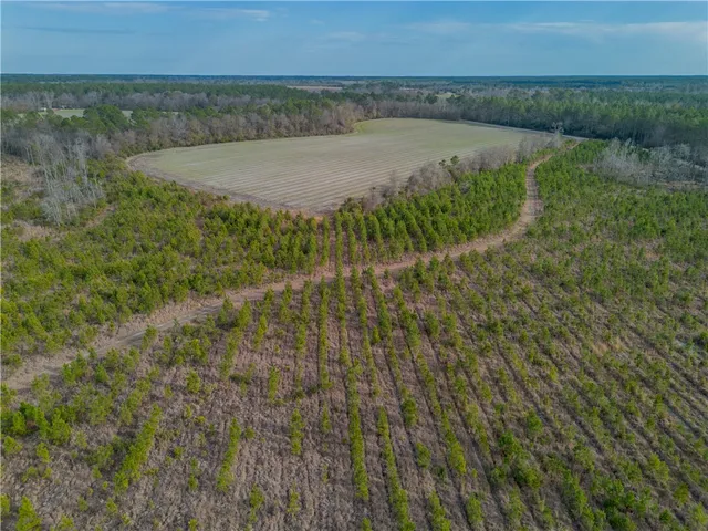 $987,850 | 3 Reddish Road, Screven, GA 31560