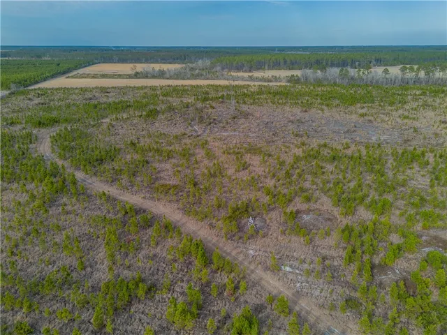 $987,850 | 3 Reddish Road, Screven, GA 31560