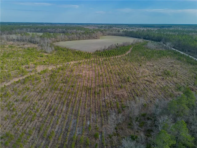 $987,850 | 3 Reddish Road, Screven, GA 31560