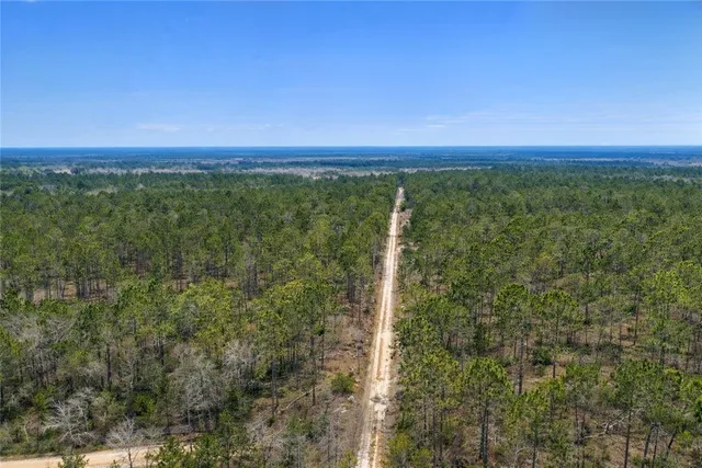 $987,850 | 3 Reddish Road, Screven, GA 31560