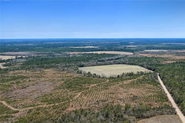 $987,850 | 3 Reddish Road, Screven, GA 31560