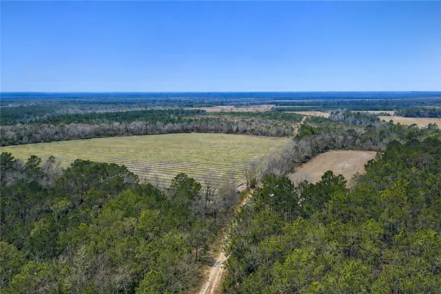 $987,850 | 3 Reddish Road, Screven, GA 31560