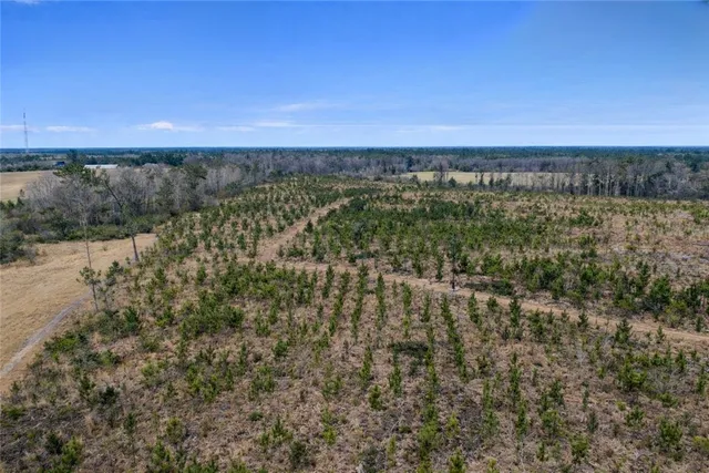 $987,850 | 3 Reddish Road, Screven, GA 31560