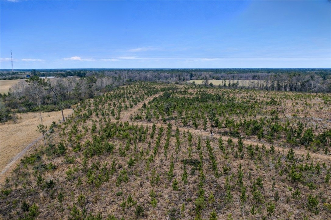 3 Reddish Road Screven, GA 31560 - Photo 7 of 9