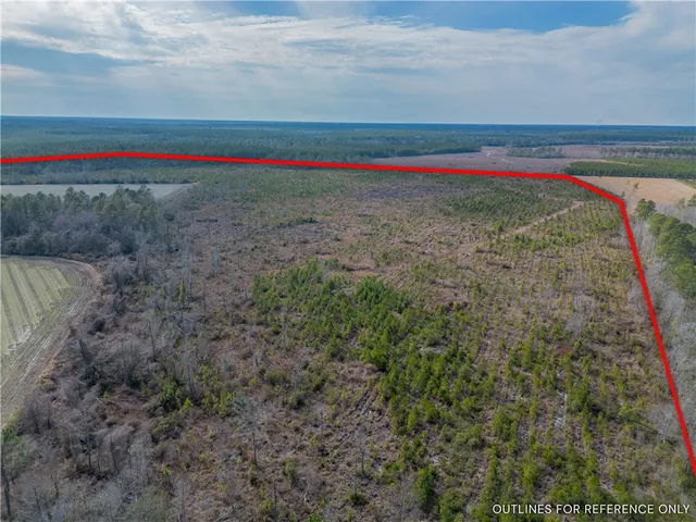 $987,850 | 3 Reddish Road, Screven, GA 31560