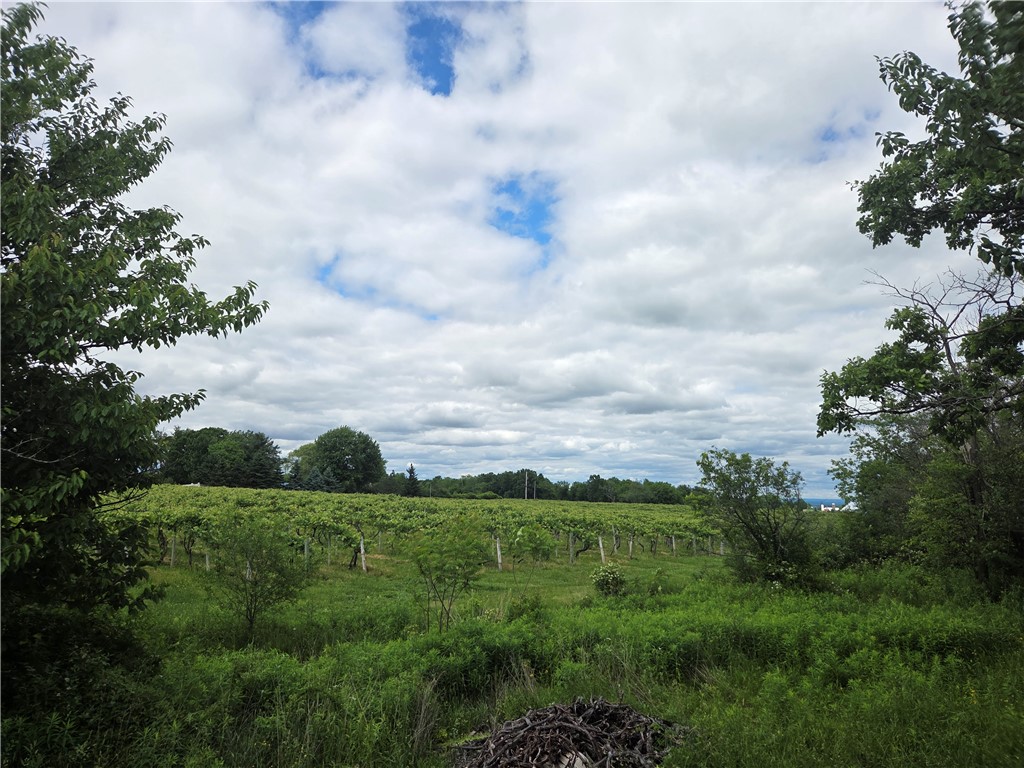 Sutton Road Penn Yan, NY 14527 - Photo 21 of 46 Gallery Image 21