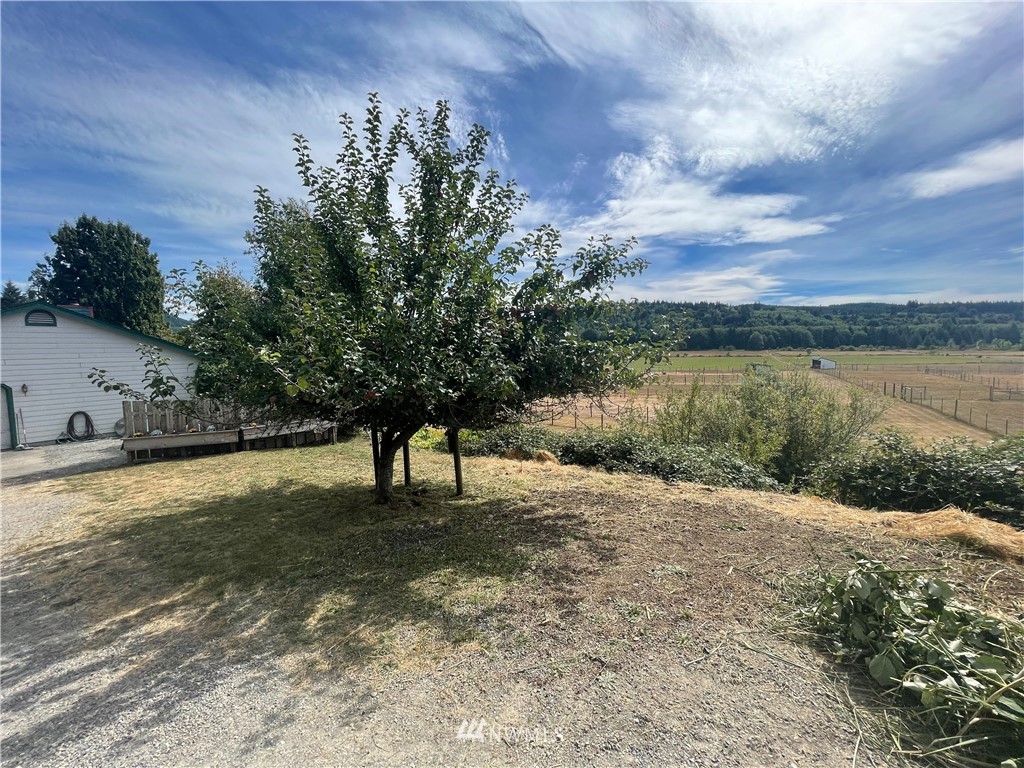 404 Independence Road Rochester, WA 98579 - Photo 24 of 40 a view of a lake with a yard