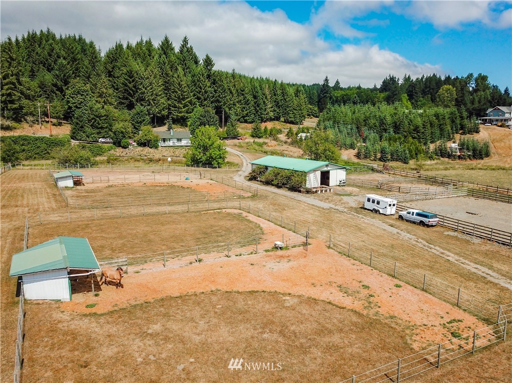 404 Independence Road Rochester, WA 98579 - Photo 4 of 40 a view of a yard with swimming pool and trees