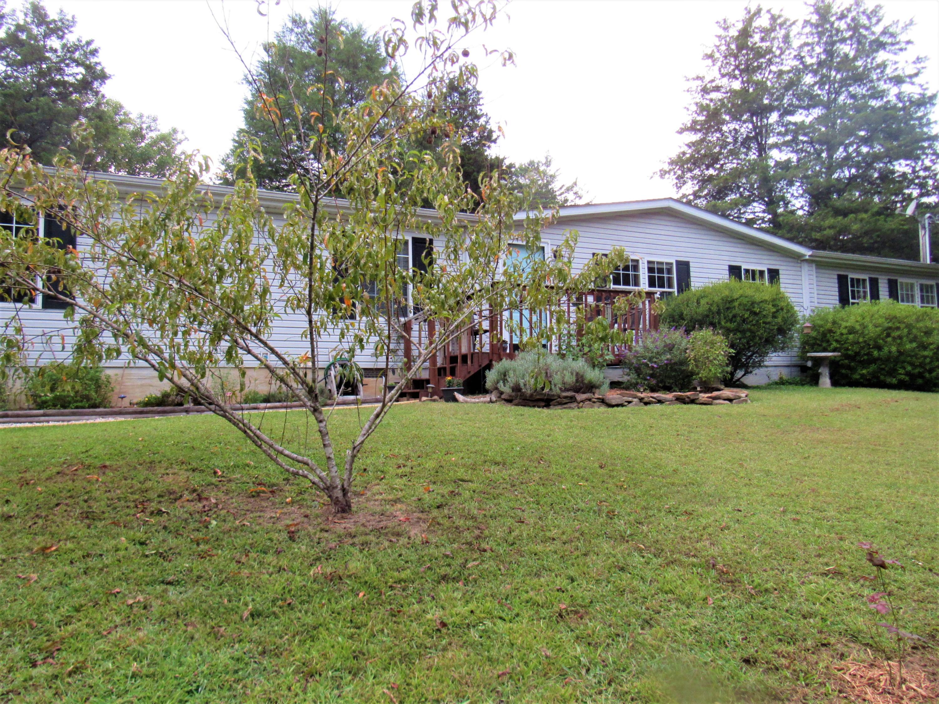 front with tree