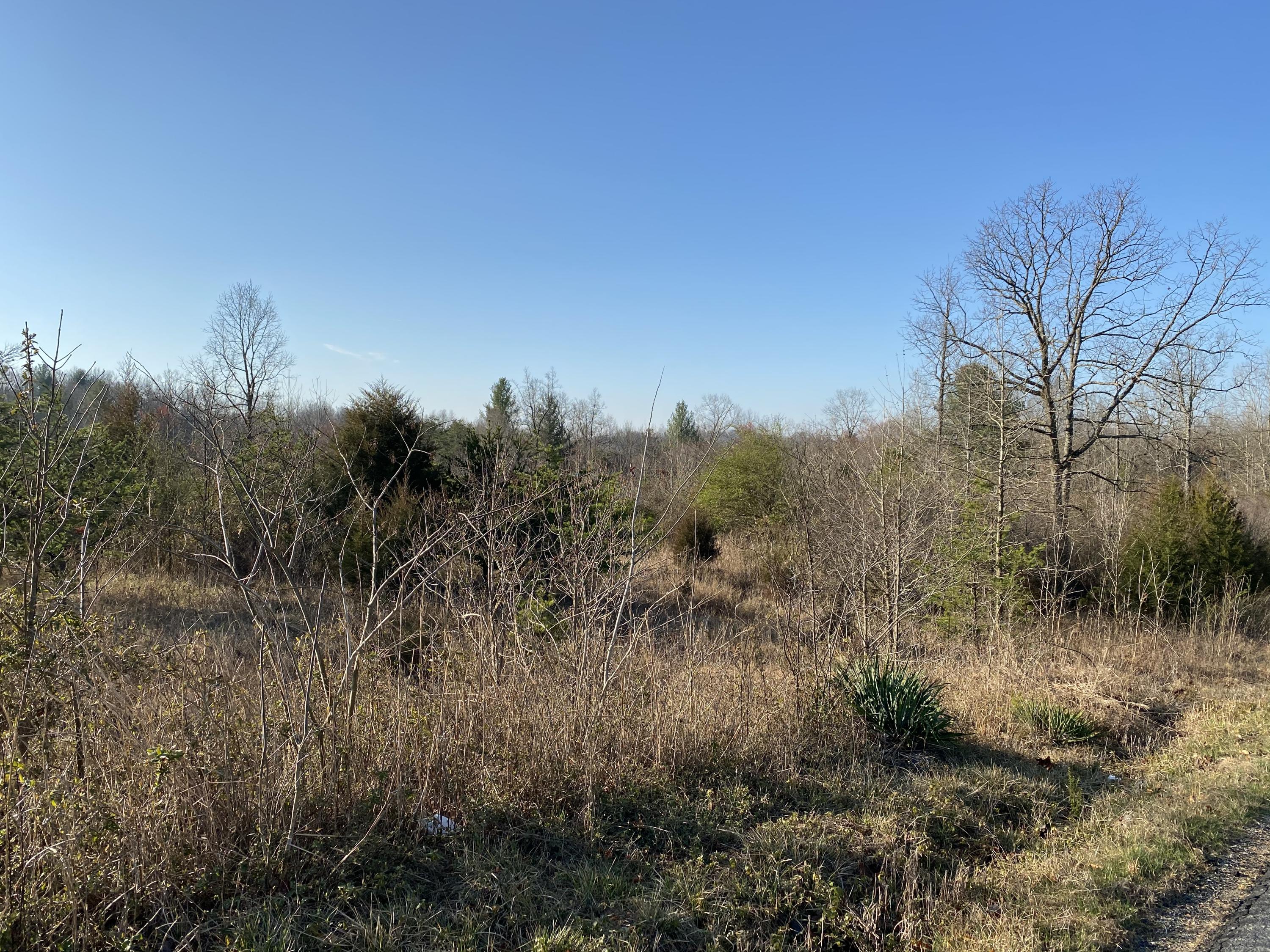 Lot 4 Ledbetter Road Rocky Mount, VA 24151 - Photo 4 of 6 IMG_0330