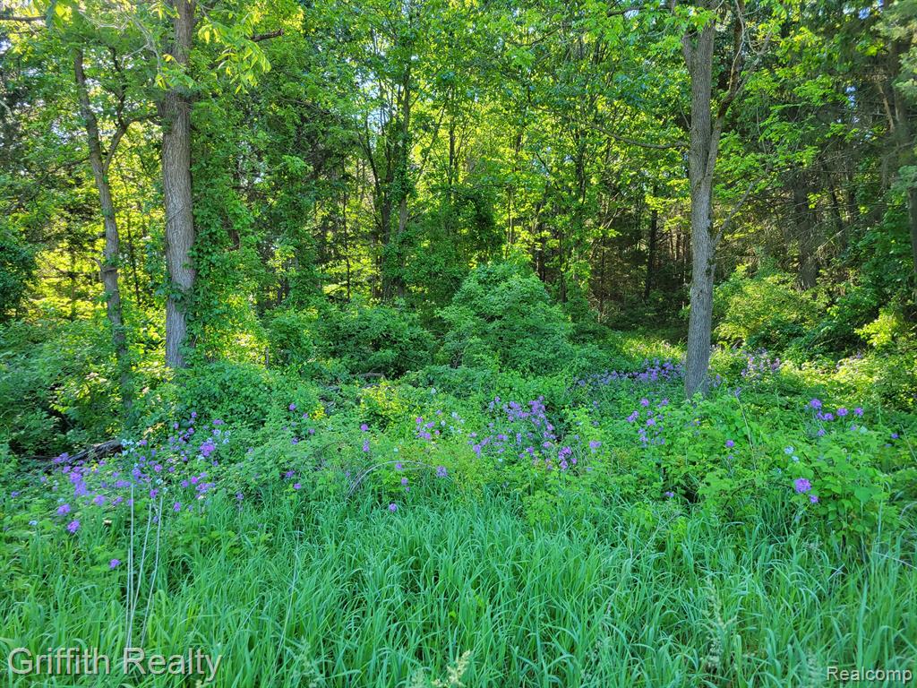 Vl McCabe Road Brighton, MI 48116 - Photo 1 of 1