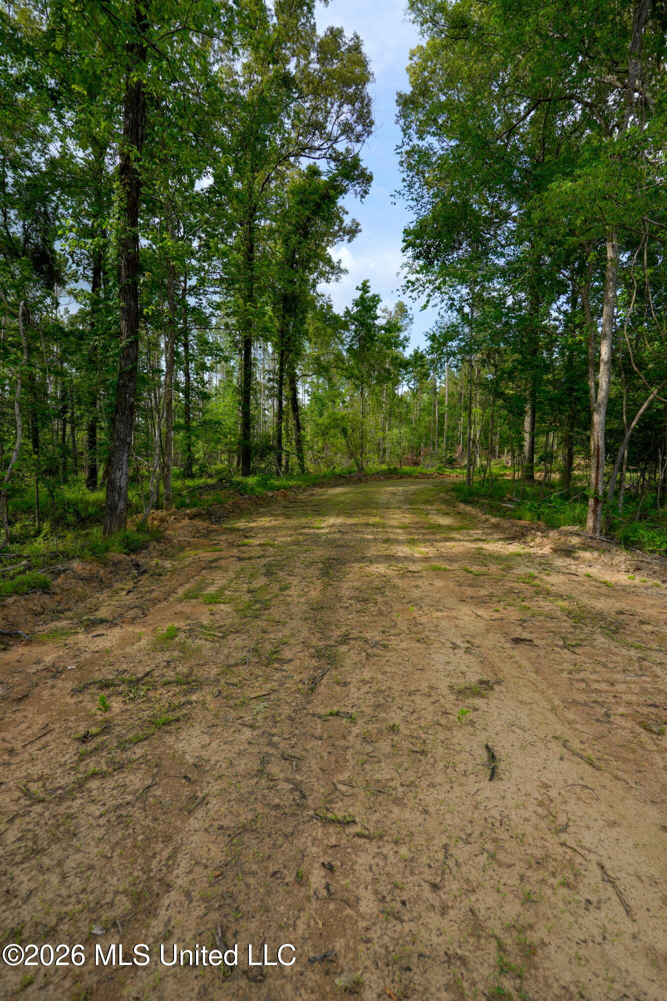 Lorance Road Clinton, MS 39056 - Photo 5 of 25 _DSC5490