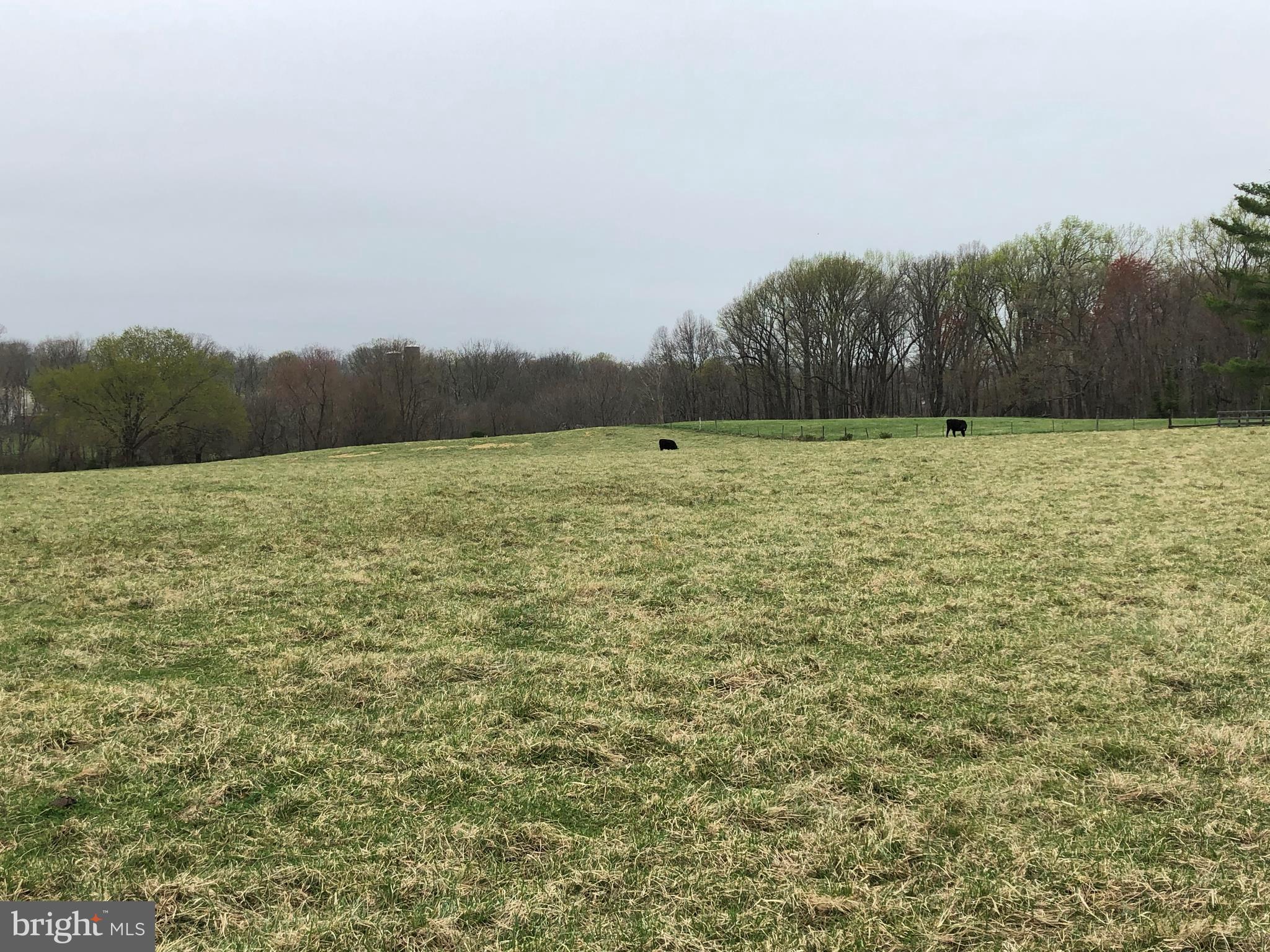 Paxson Road Purcellville, VA 20132 - Photo 6 of 7 Beautiful views