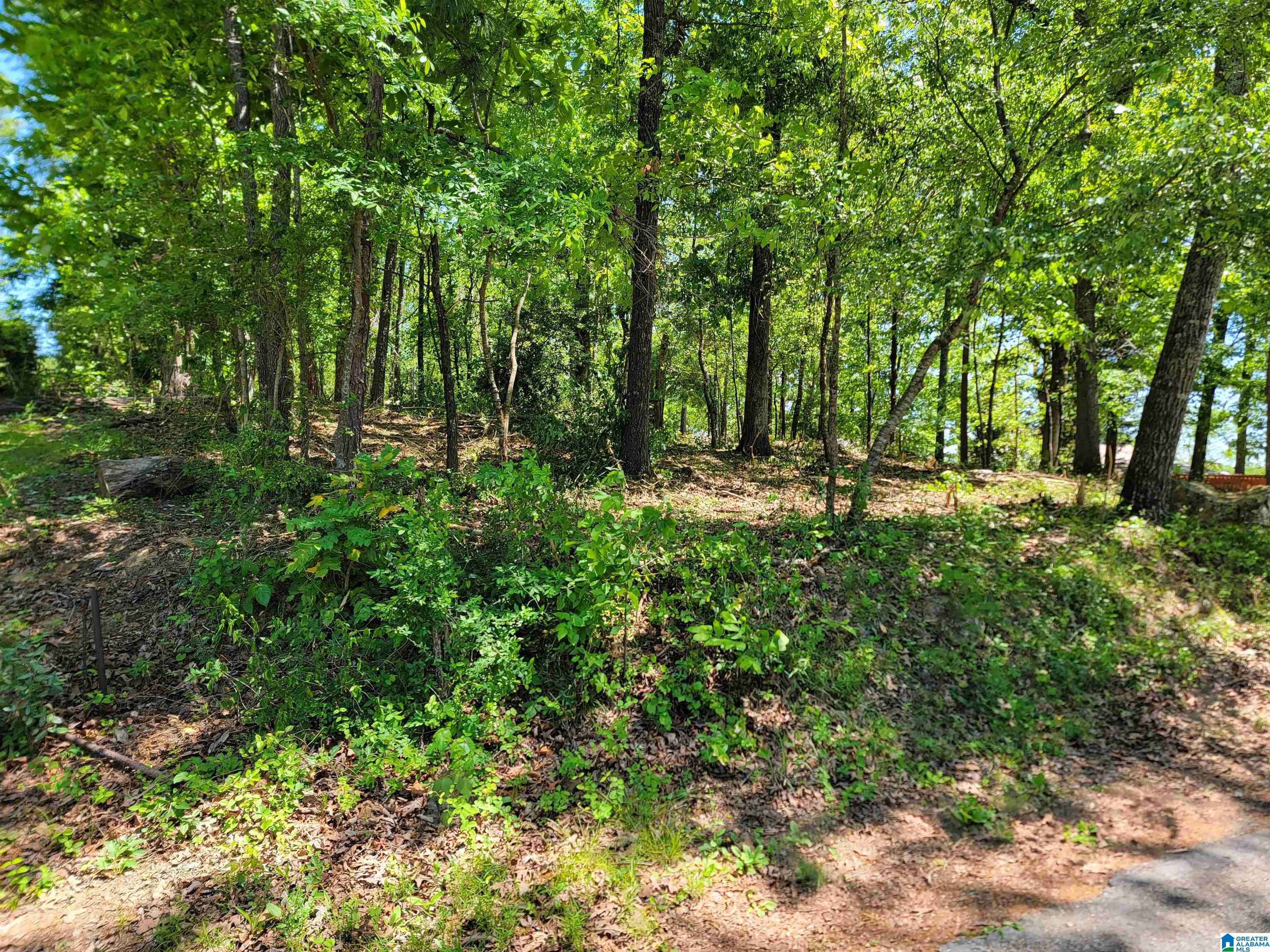 0 Clearwater Point Road, Unit 5 Cropwell, AL 35054 - Photo 13 of 15