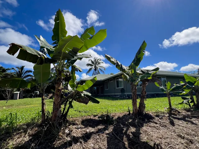 $590,000 | 15-1971 22nd Avenue, Keaau, HI 96749