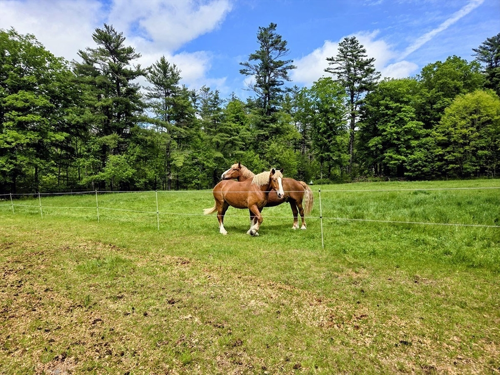 130 W Road Petersham, MA 01366 - Photo 38 of 42