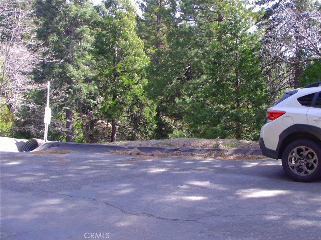 2379 Spring Oak Drive Running Springs, CA 92382 - Photo 2 of 3 a view of a backyard of a house
