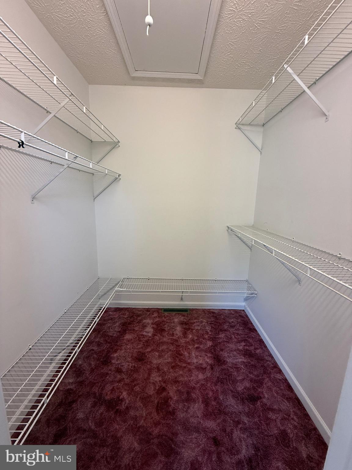 19322 Old Dans Rock Road Southwest Frostburg, MD 21532 - Photo 29 of 63 Master Walk In Closet