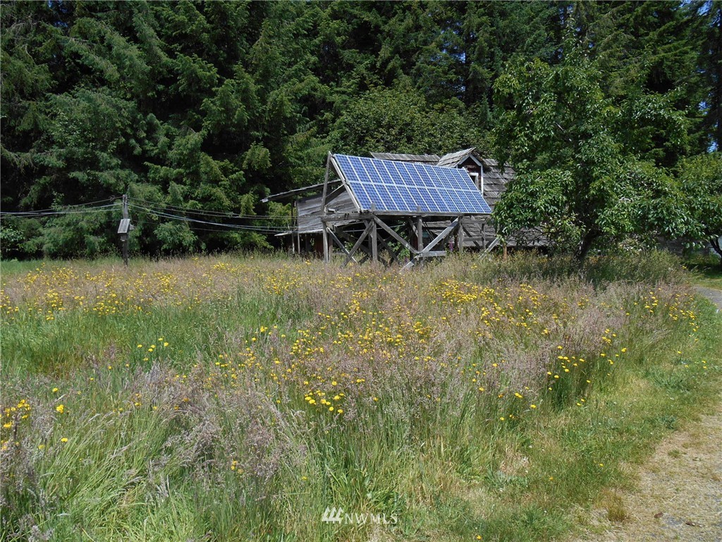 959 Elochoman Valley Road Cathlamet, WA 98612 - Photo 12 of 22 Gallery Image 12