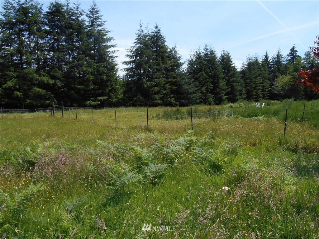 959 Elochoman Valley Road Cathlamet, WA 98612 - Photo 19 of 22 Gallery Image 19