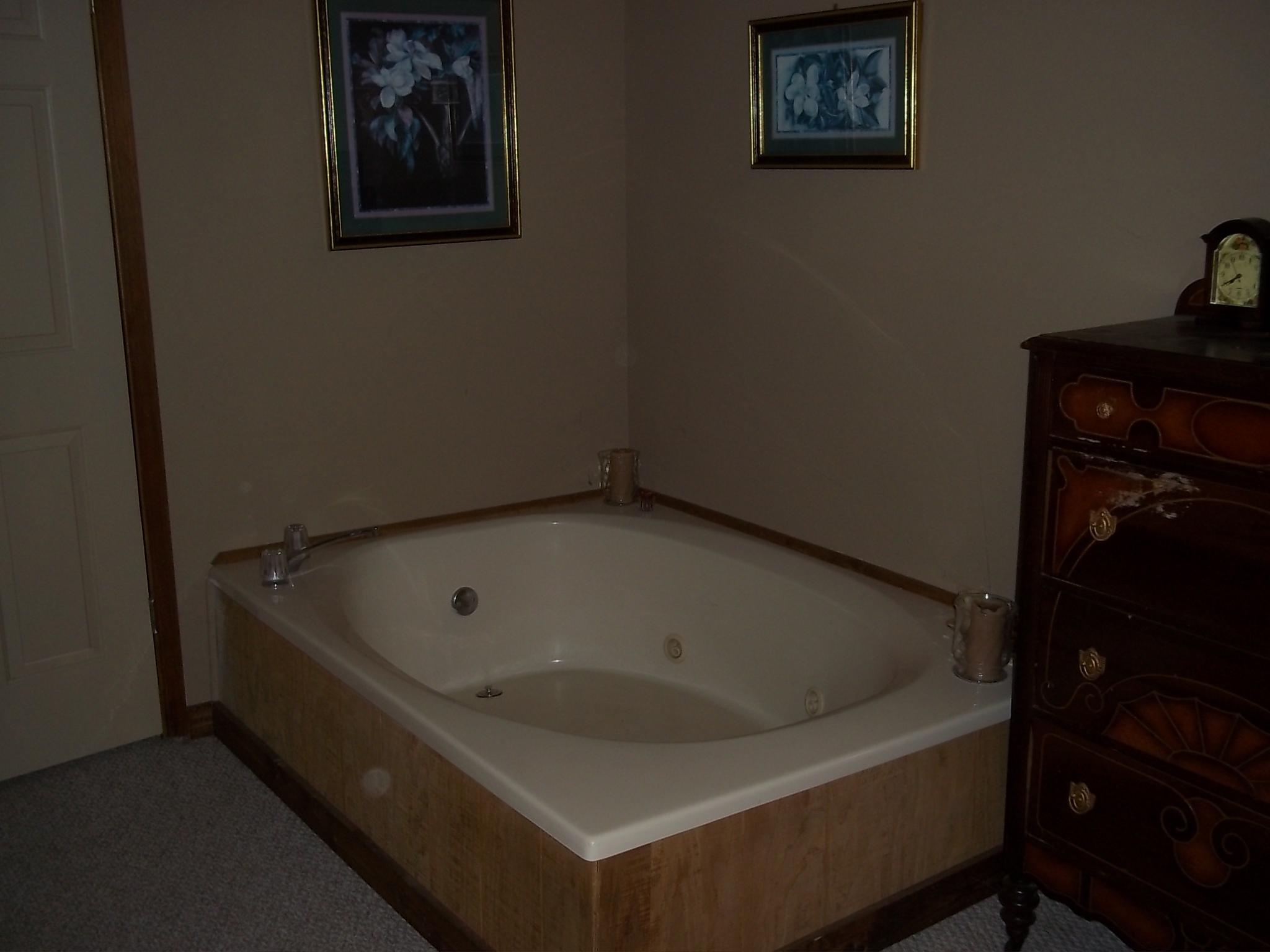 751 Cavern Road Townsend, TN 37882 - Photo 11 of 21 Whirlpool Tub