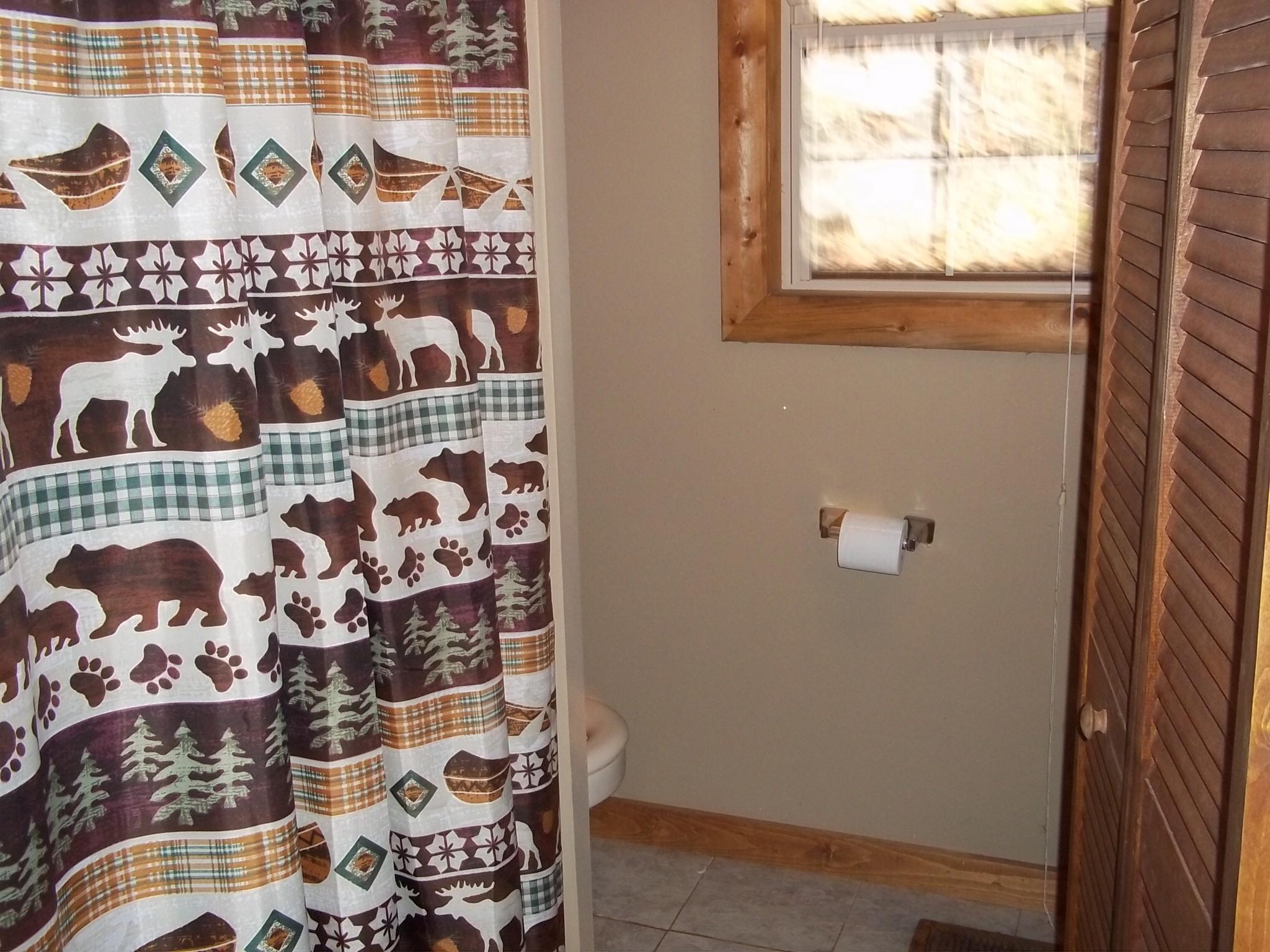 751 Cavern Road Townsend, TN 37882 - Photo 12 of 21 Master Bath