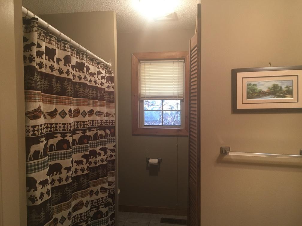 751 Cavern Road Townsend, TN 37882 - Photo 13 of 21 Master Bath
