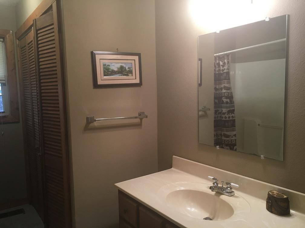 751 Cavern Road Townsend, TN 37882 - Photo 14 of 21 Master Bath
