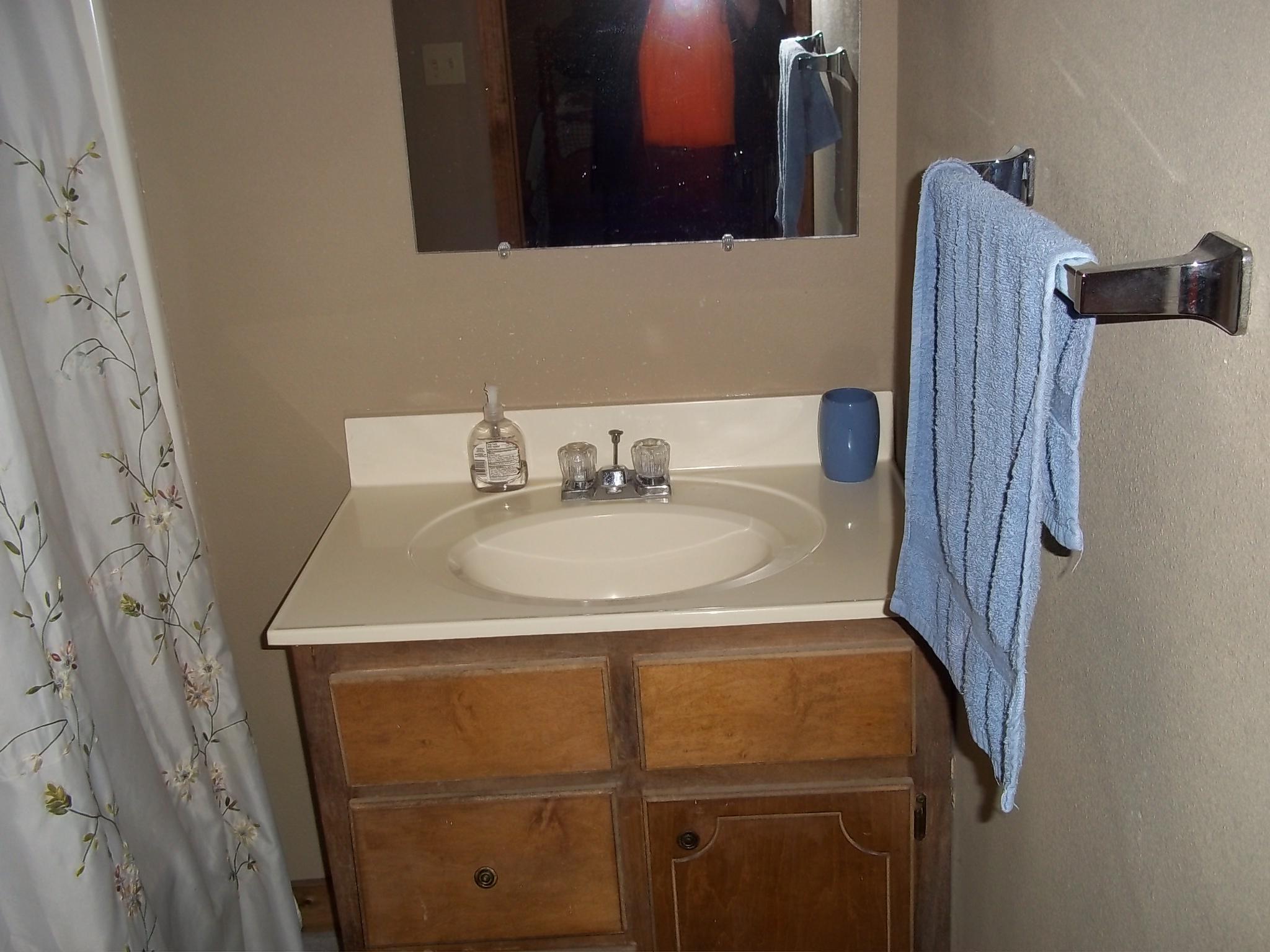 751 Cavern Road Townsend, TN 37882 - Photo 16 of 21 Bathroom 2