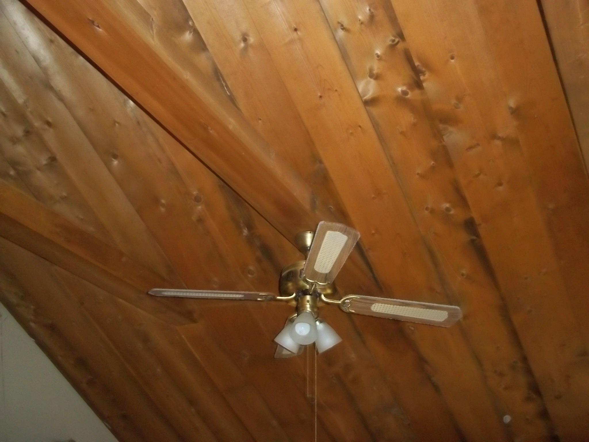751 Cavern Road Townsend, TN 37882 - Photo 17 of 21 Ceiling in Living room