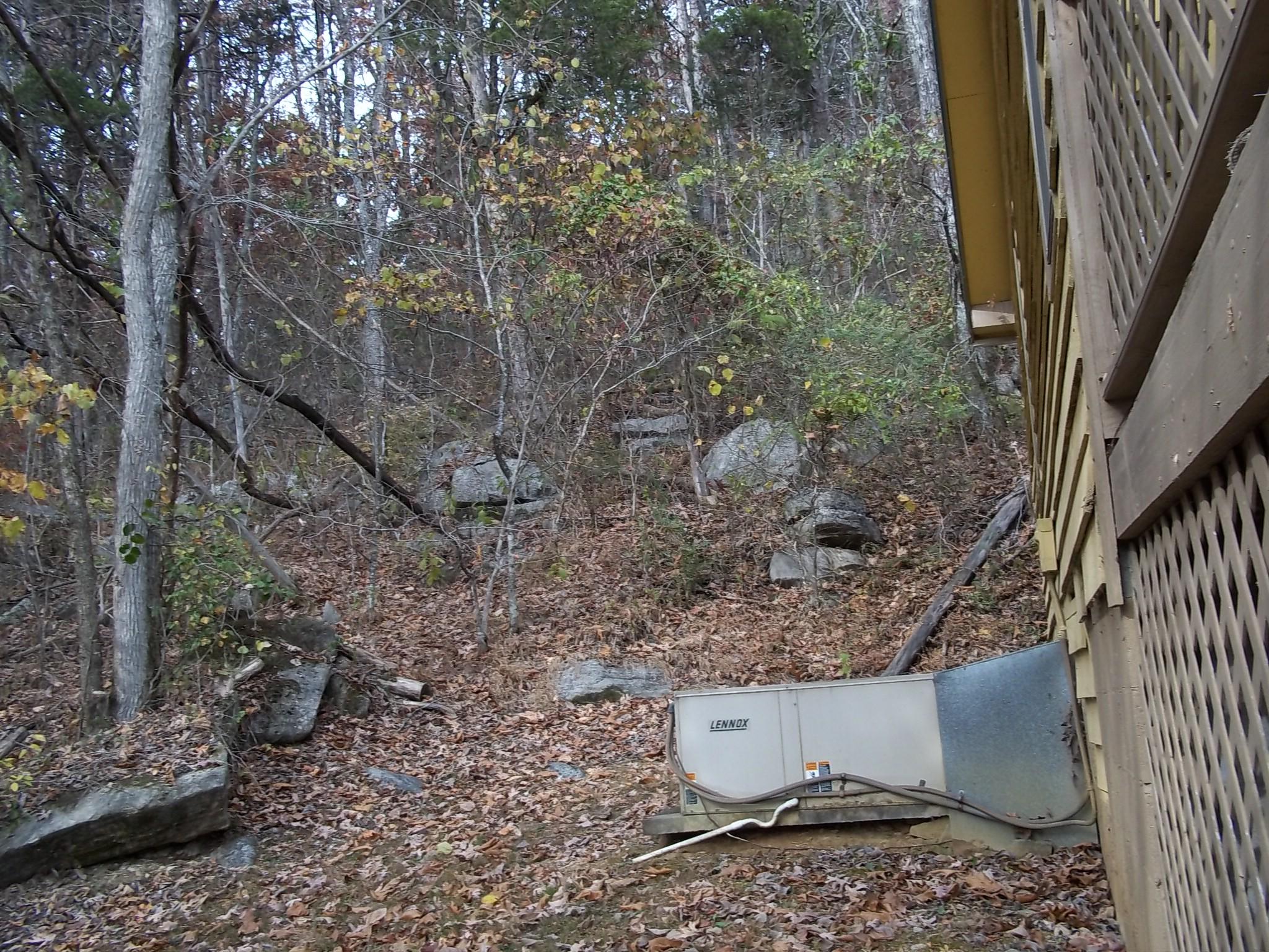 751 Cavern Road Townsend, TN 37882 - Photo 19 of 21 Woods behind house