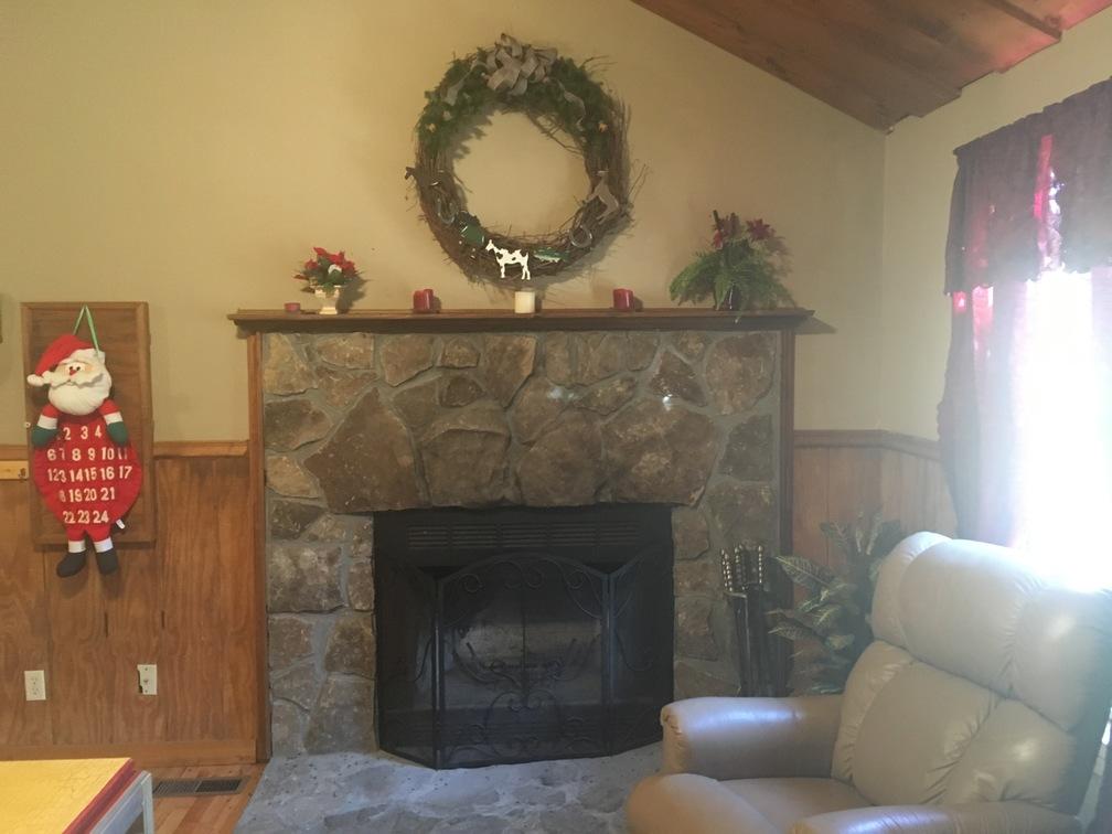 Living Room Fireplace