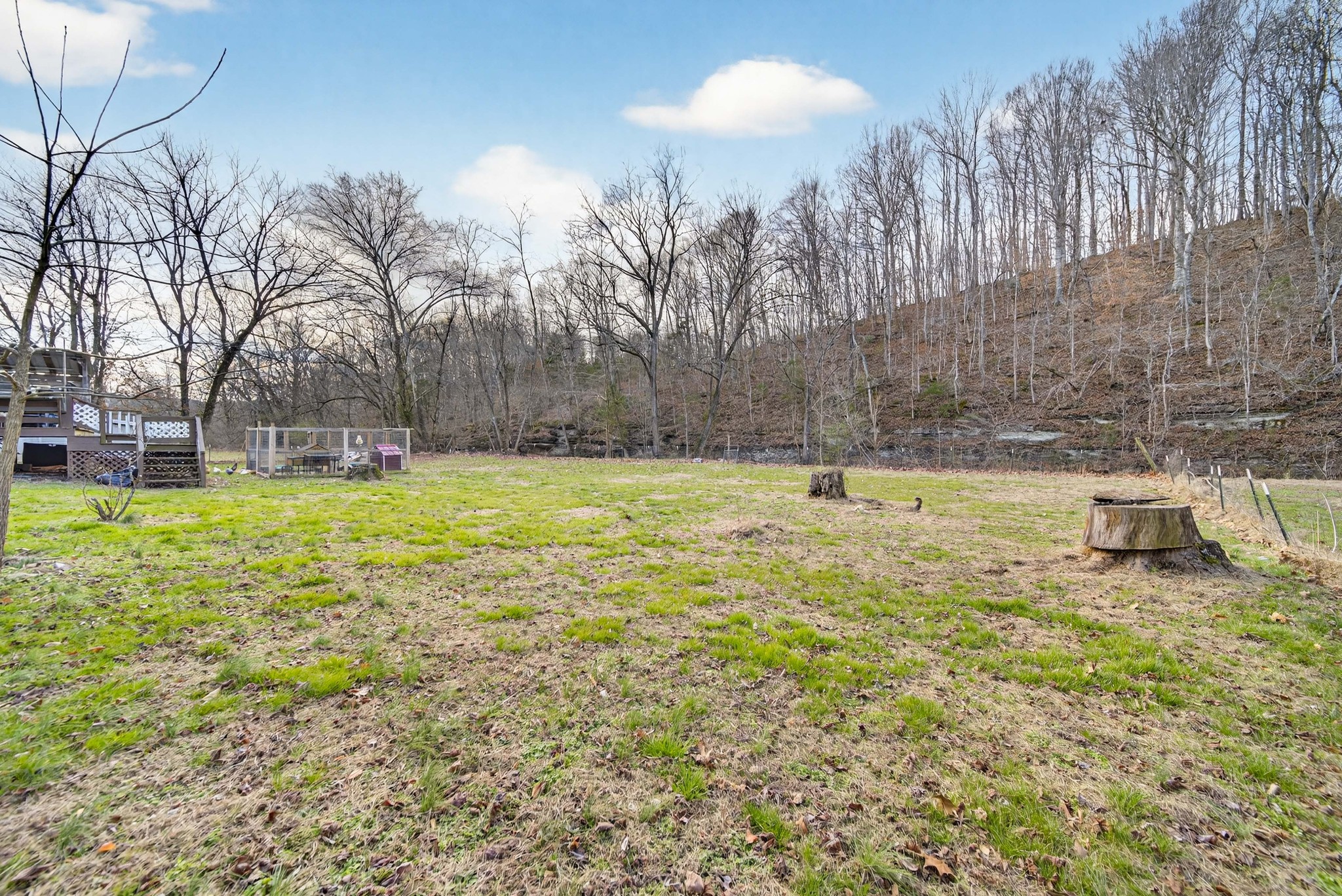 3332 Abednego Road Greenbrier, TN 37073 - Photo 29 of 86